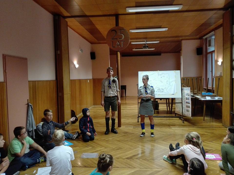 Historia ZHP w Austrii